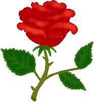 040rose09