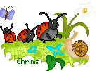 Marienkäfer