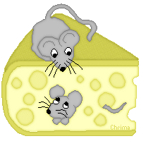 Käsemaus
