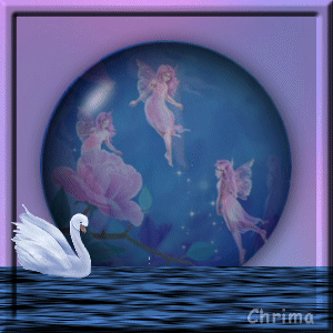011SwanTag05.gif