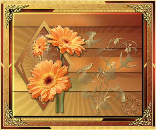 004Gerbera08
