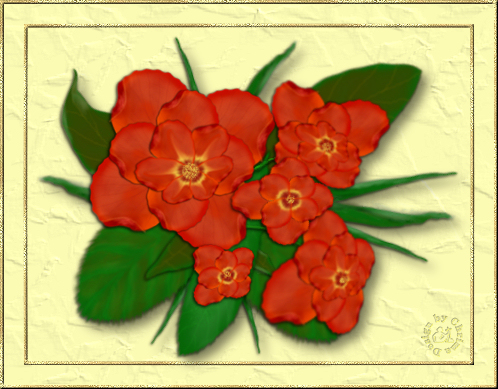 004Fantasieblume_Chrima08