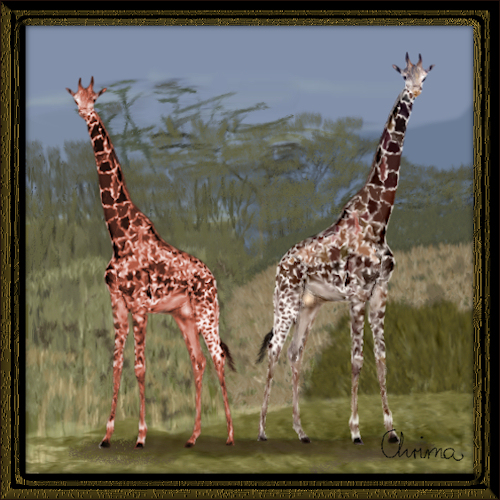 017Giraffen_Chrima09
